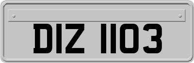 DIZ1103