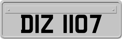 DIZ1107