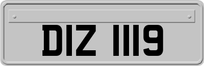 DIZ1119