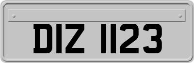 DIZ1123