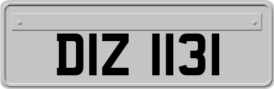 DIZ1131