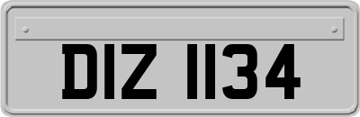 DIZ1134