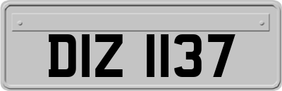 DIZ1137