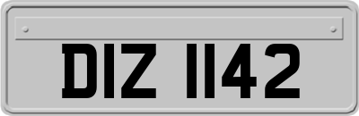 DIZ1142