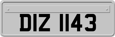 DIZ1143