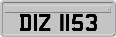 DIZ1153