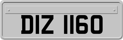 DIZ1160