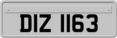 DIZ1163