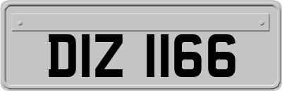 DIZ1166