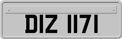 DIZ1171
