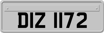 DIZ1172