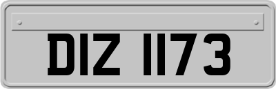 DIZ1173