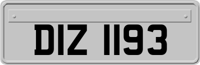 DIZ1193