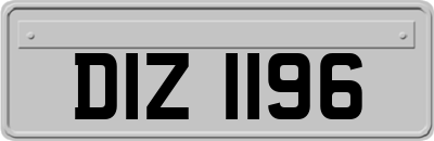 DIZ1196