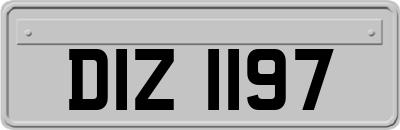 DIZ1197