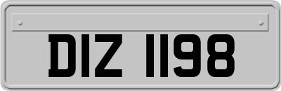 DIZ1198