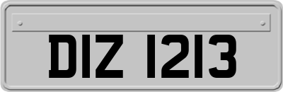 DIZ1213