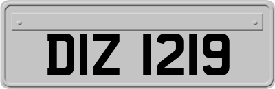 DIZ1219