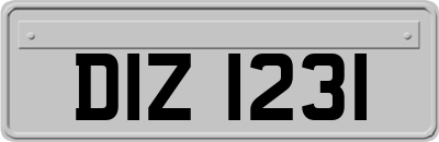 DIZ1231