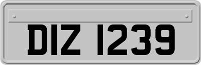 DIZ1239