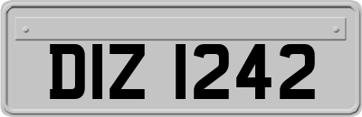DIZ1242