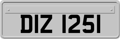 DIZ1251