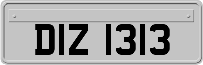 DIZ1313