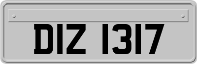DIZ1317