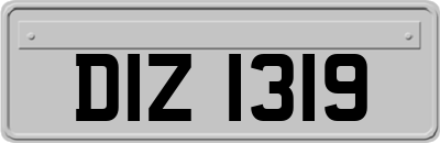 DIZ1319