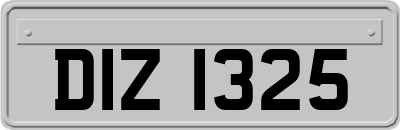 DIZ1325