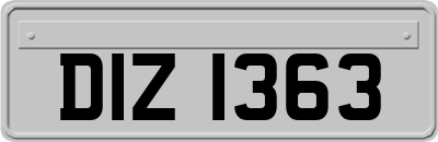 DIZ1363