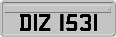 DIZ1531