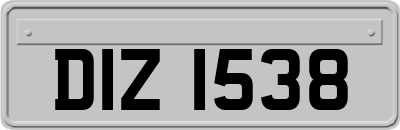 DIZ1538