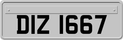 DIZ1667