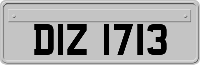 DIZ1713
