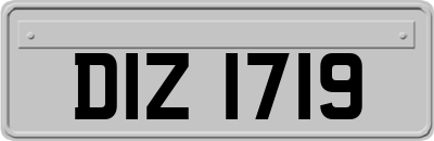 DIZ1719