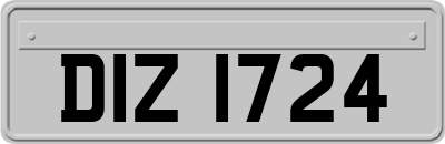 DIZ1724
