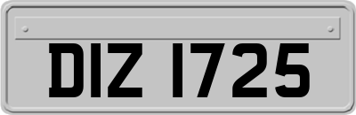 DIZ1725
