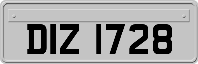 DIZ1728