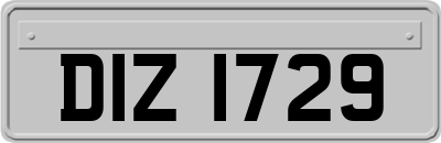 DIZ1729