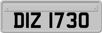 DIZ1730