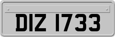 DIZ1733