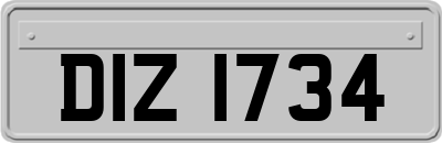 DIZ1734
