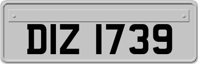 DIZ1739