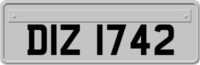 DIZ1742