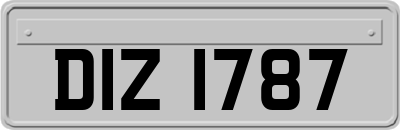 DIZ1787