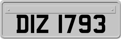 DIZ1793