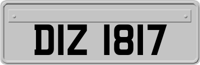 DIZ1817