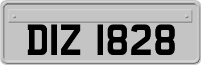 DIZ1828
