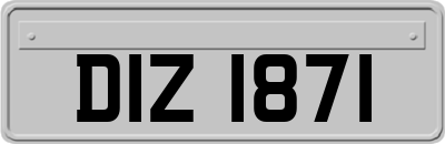 DIZ1871